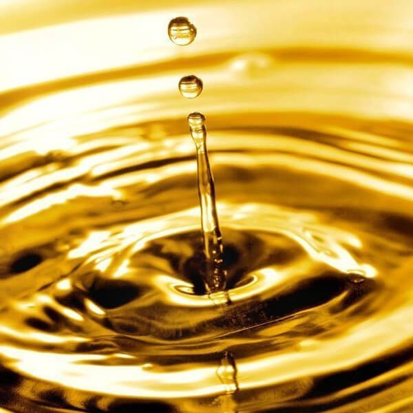 ITC UG – International Trading Company